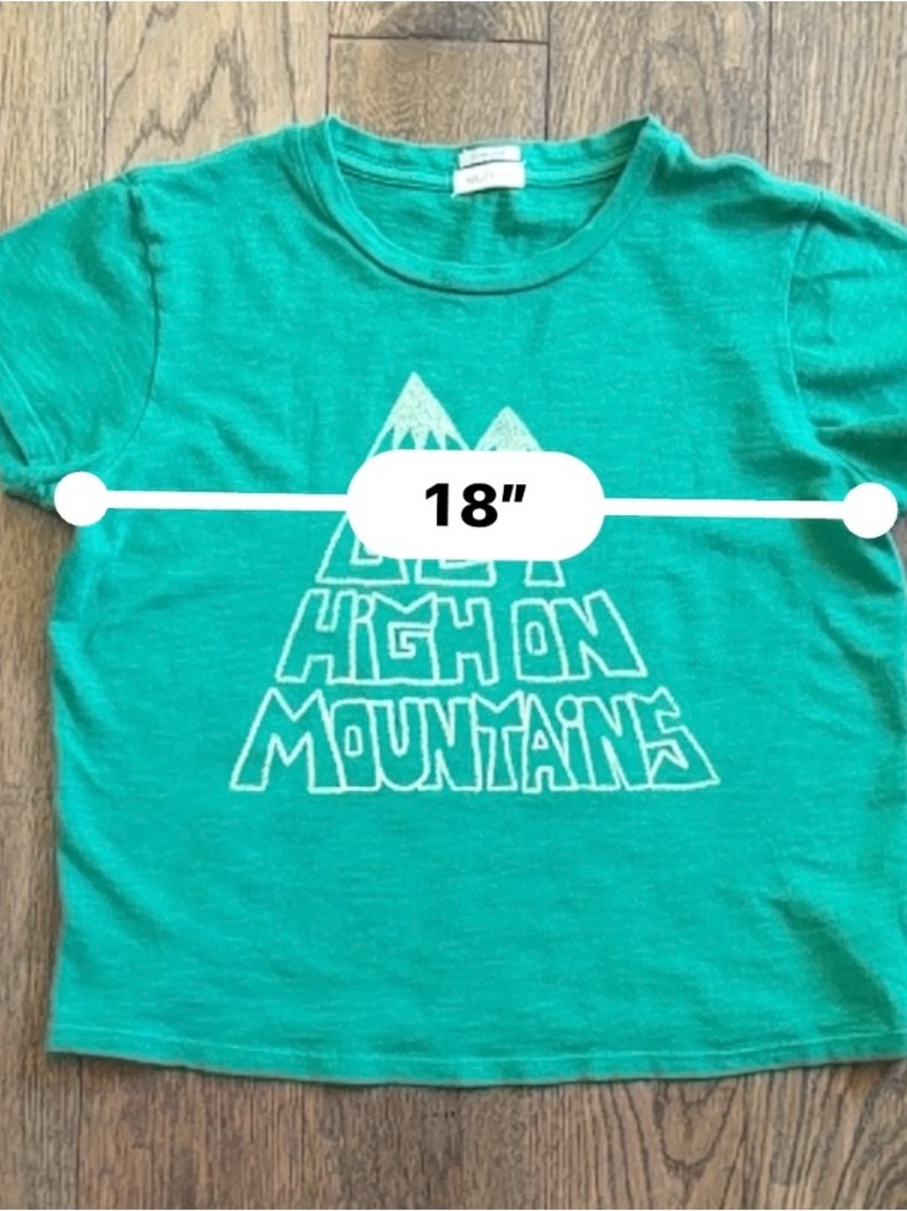 MOTHER 'Get High on Mountains' Graphic Tee - Picture 6 of 10